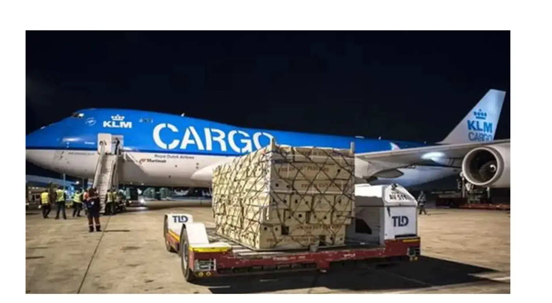 Fayem Air Cargo